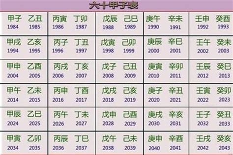 2020年五行属什么